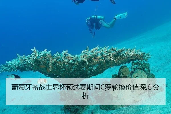 葡萄牙备战世界杯预选赛期间C罗轮换价值深度分析